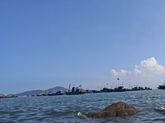 -海源公园