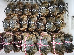 -七的湖·晚芳亭·阳澄湖农家菜·大闸蟹(莲花岛店)