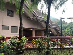 -香港大学