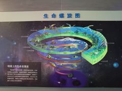 -安徽省地质博物馆