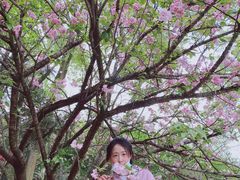 -南山植物园