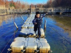 -溱湖国家湿地公园