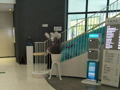 -椰小咖(亚龙湾东榕美食广场店)
