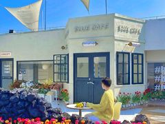 -Blue Concept Cafe&Farm·關於藍