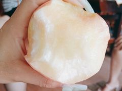 -南汇新场正宗水蜜桃采摘