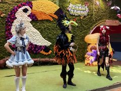 -正佳雨林生态植物园