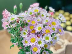 -Catch Bagel(芳草地店)