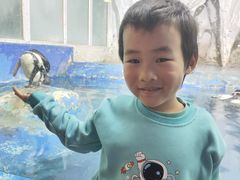 -太平洋海底世界