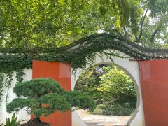 -上海醉白池公园