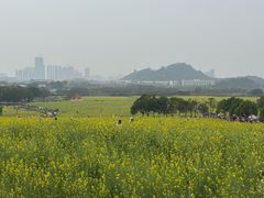 -光明小镇欢乐田园