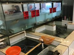 水产区-小乡小镇·传承桐庐土菜·老板亲自烧的菜