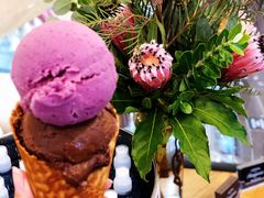 -Patagonia Chocolates(皇后镇店)