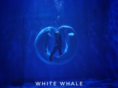 -多彩贵州城极地海洋世界