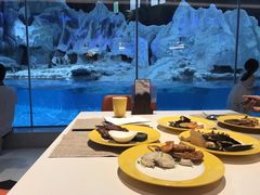 -帝企鹅自助餐厅•儿童岛•真企鹅(长隆企鹅酒店)