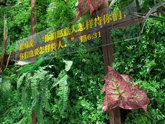 -彩虹之约•淮扬家宴(亚运村店)