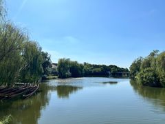 -溱湖国家湿地公园