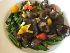 -欢乐海岸美食联盟