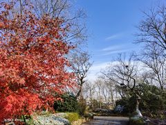 -茅山东方盐湖城景区