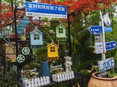 -东平国家森林公园