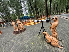 -北京野生动物园