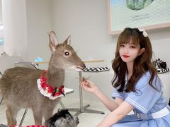 -怪兽屋·羊驼·猫咖·狗咖(俊华广场店)