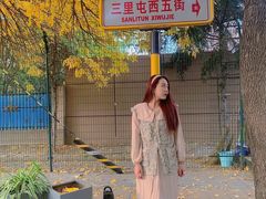 -三里屯东五街银杏大道