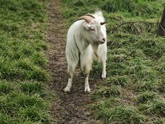 -广富林郊野公园