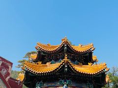 -香山公园
