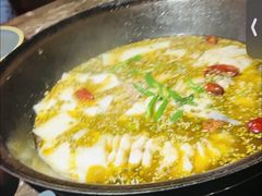 -肥鱼屯活鱼锅(惠工街店)