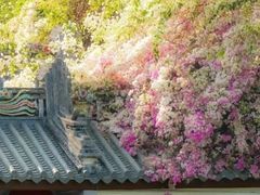 -深圳国际园林花卉博览园