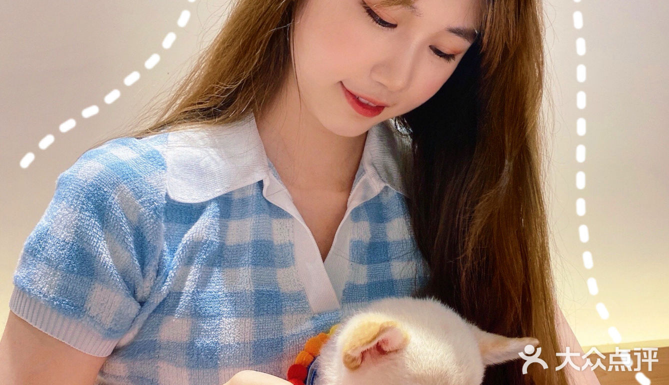 🐶超治愈柴犬咖！一起来撸奶fufu的柴柴吧