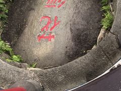 -庐山风景区花径公园