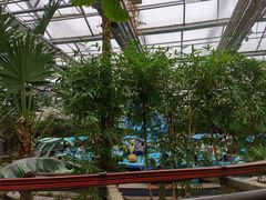 -南宫五洲植物乐园