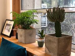 -COTTON CAFE(德信·中外公寓店)