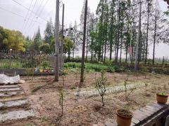 -小六农家乐(崇明西沙湿地店)