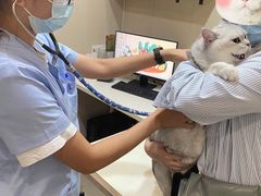 -立德动物医院·24小时中心(番禺区院区)
