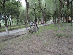 -昆山城市生态森林公园