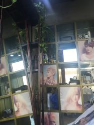 -In Style Hair Salon