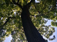 -北京上方山国家森林公园