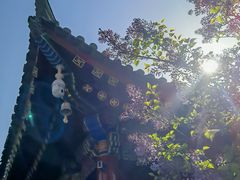 -西安市广仁寺