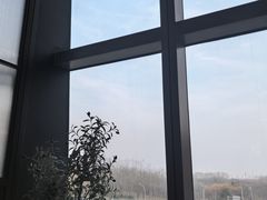 -章记星洲 · 新加坡餐厅(望京店)