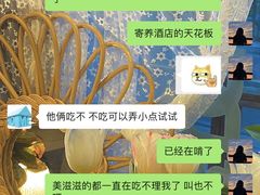 -宠物之家Pets Home 宠物寄养酒店