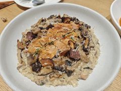 黑松露奶油野菇鸡肉焗饭-娜娜家•Nana's restaurant (南开大悦城店)