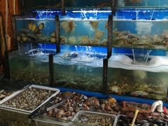 水产区-老东镇啤酒屋海鲜加工·蒸汽海鲜·海鲜烧烤(台东店)