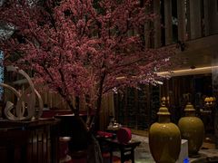 -金轩中餐厅 Jin Xuan(浦东丽思卡尔顿酒店)