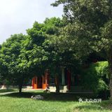 找个地方喝茶，要有人在画中游的感觉，马上就想到了迎宾