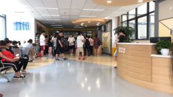 -上海交通大学医学院附属上海儿童医学中心(陆家嘴总院区)