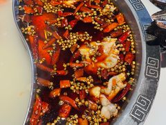 美蛙-销魂美蛙鱼头火锅(上海首店)