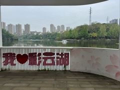 -重庆彩云湖湿地公园