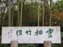 -云栖竹径